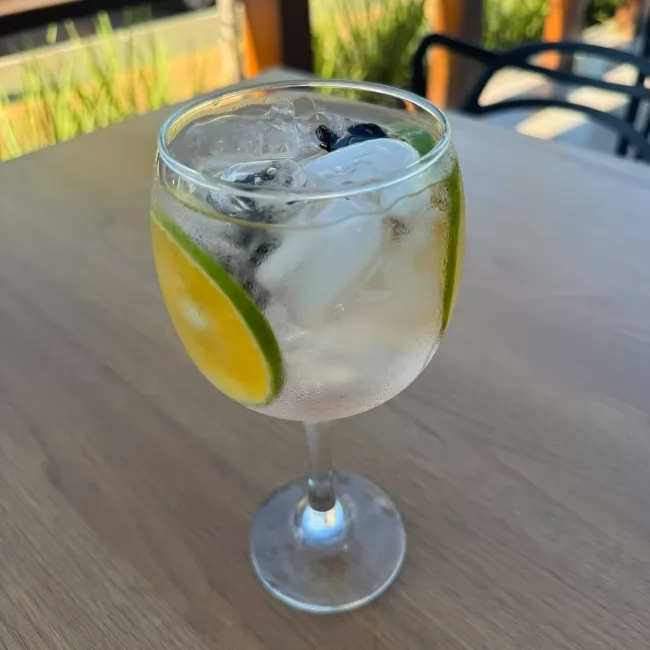 GIN TÔNICA